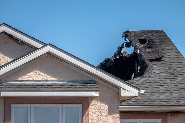 Top rated local Odor Removal specialists in Elkridge, MD